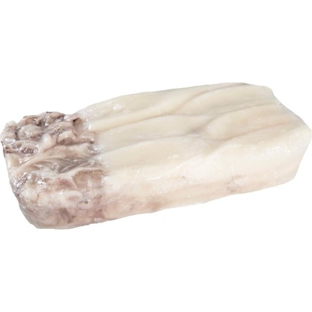 CALAMARO PATAGONICO PULITO C4 GR. 900